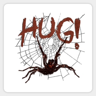 Spider wants a hug! Sticker